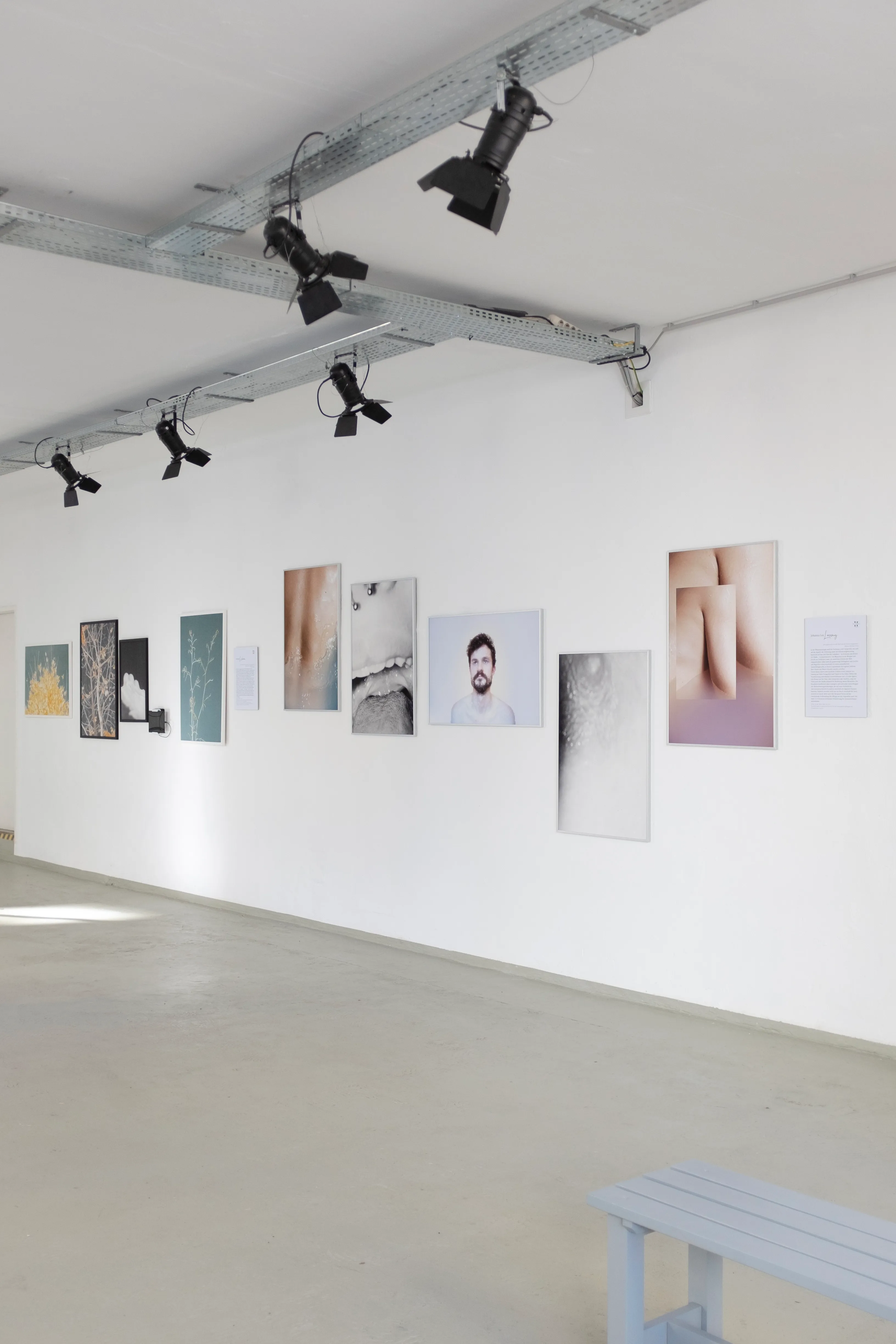Johanna Lea Lassnig work