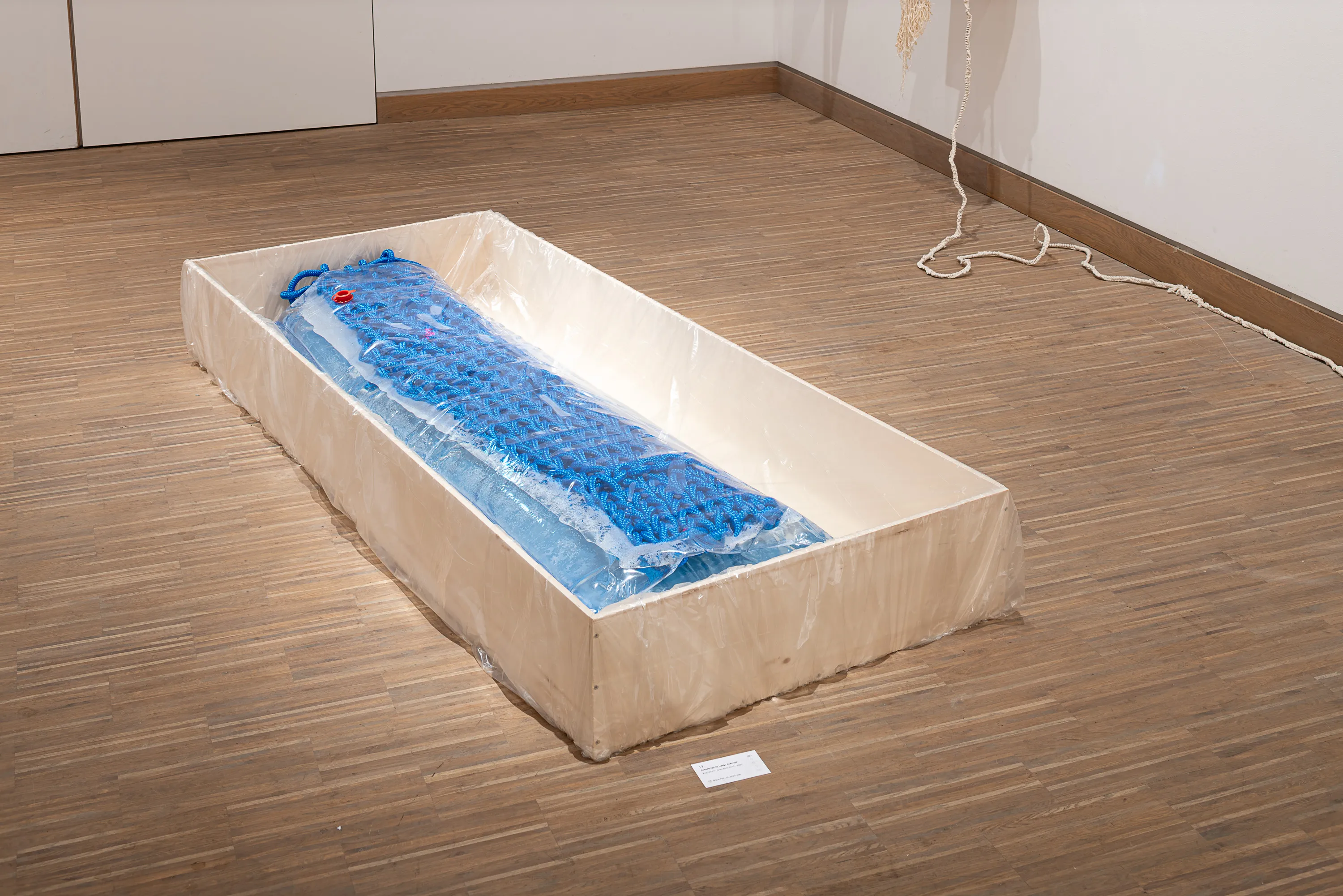 Sophie Olivia Taleja Schmidt work