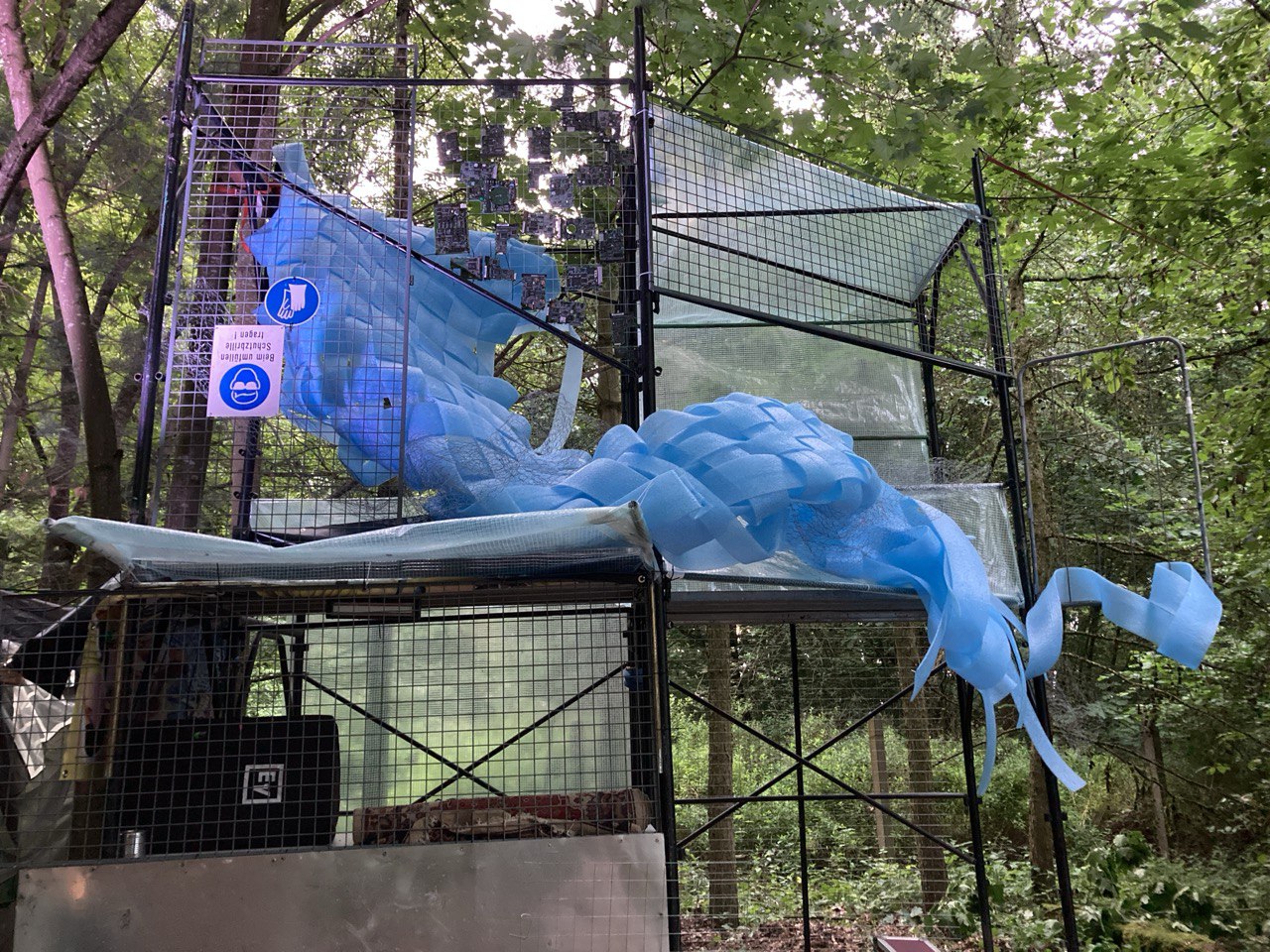 Sophie Olivia Taleja Schmidt work