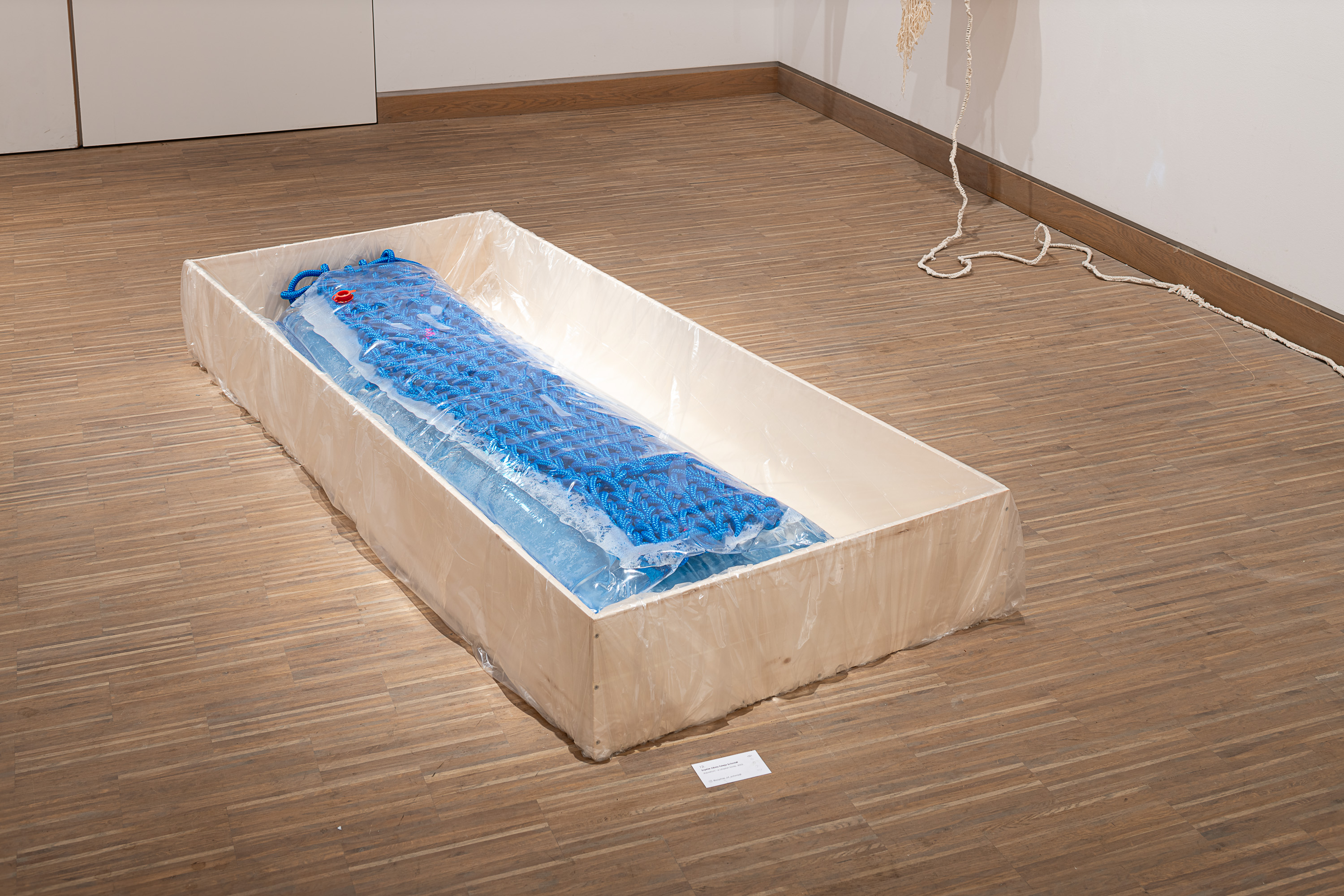 Sophie Olivia Taleja Schmidt work