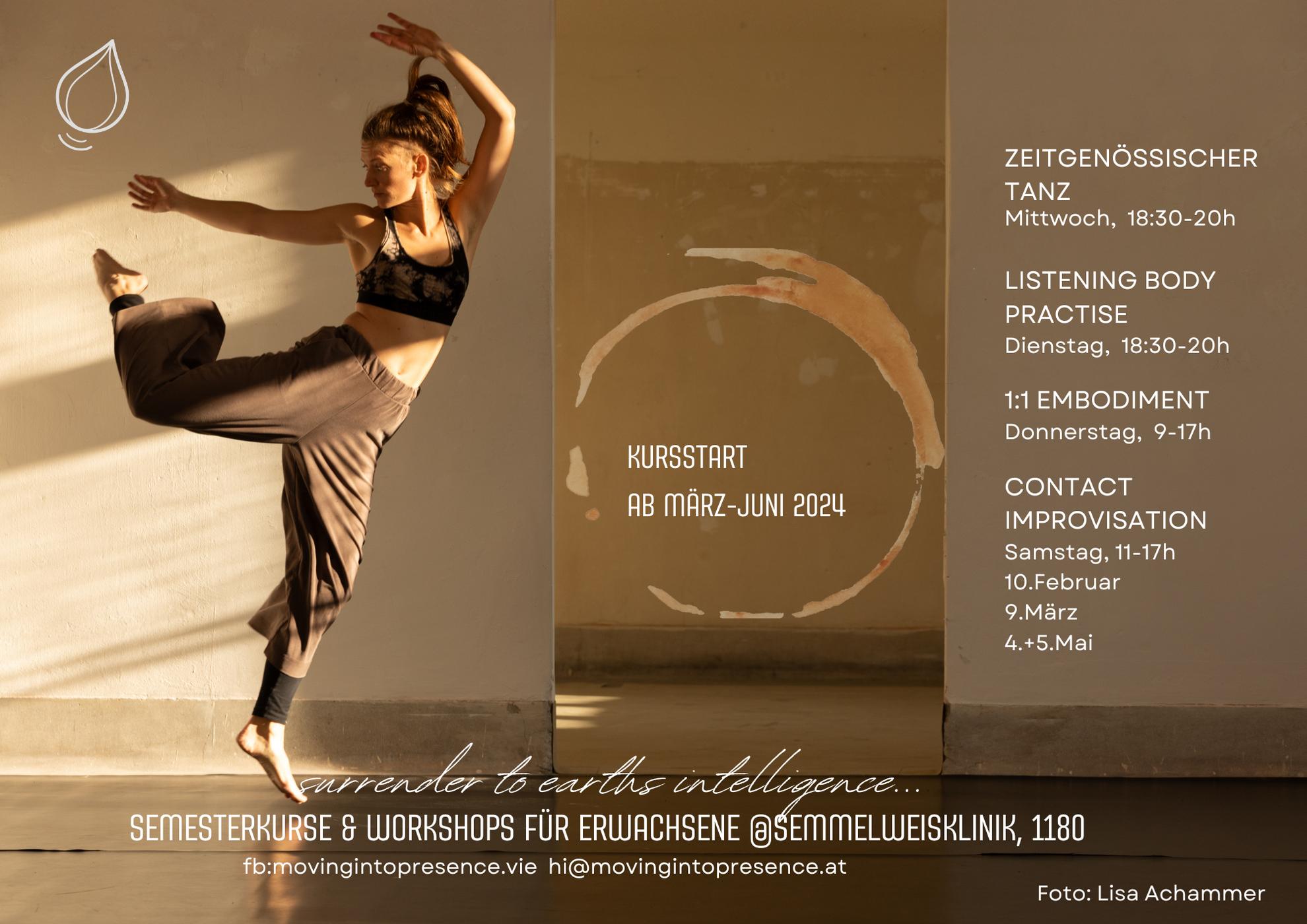Ursula Fink work