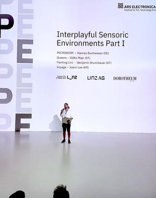 Hannes Buchwieser work