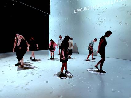 Hannes Buchwieser work