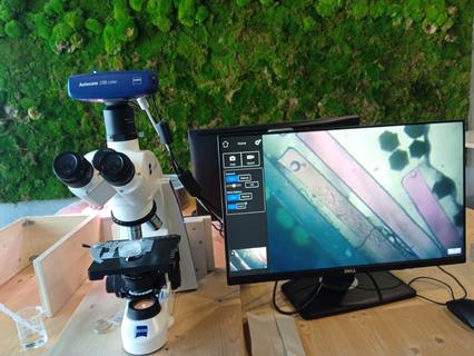 Hannes Buchwieser work