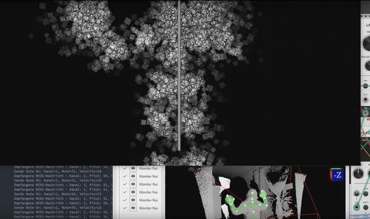 Hannes Buchwieser work