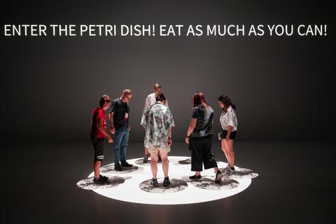 Hannes Buchwieser work