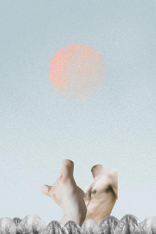 Johanna Lea Lassnig work