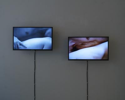 Johanna Lea Lassnig work